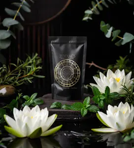 Aquarius Current Kink vacuum scent pads – rebellious water bearer vibes with lotus, mint, eucalyptus & white musk. Perfect for independent Aquarius spirits.