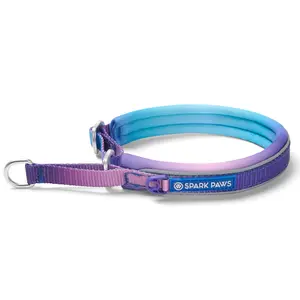 Spark Paws Martingale Dog Collar – Cushioned Slip-On Training Collar, Heavy Duty, Safety-Tested No-Buckle Collar for Medium & Large Dogs