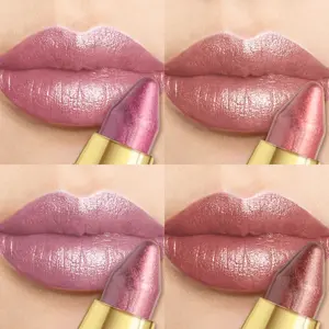 Four-Piece Huasurv Lipstick Eyeshadow Set, Natural Rich Pearl Shimmer, Long-Lasting Makeup, Hs3003, Perfect for Everyday Use