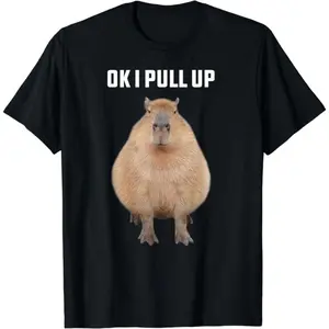 SUMMER GRAPHIC [100% Cotton] Capybara Shirt Funny Ok I Pull Up Capybara T-Shirt