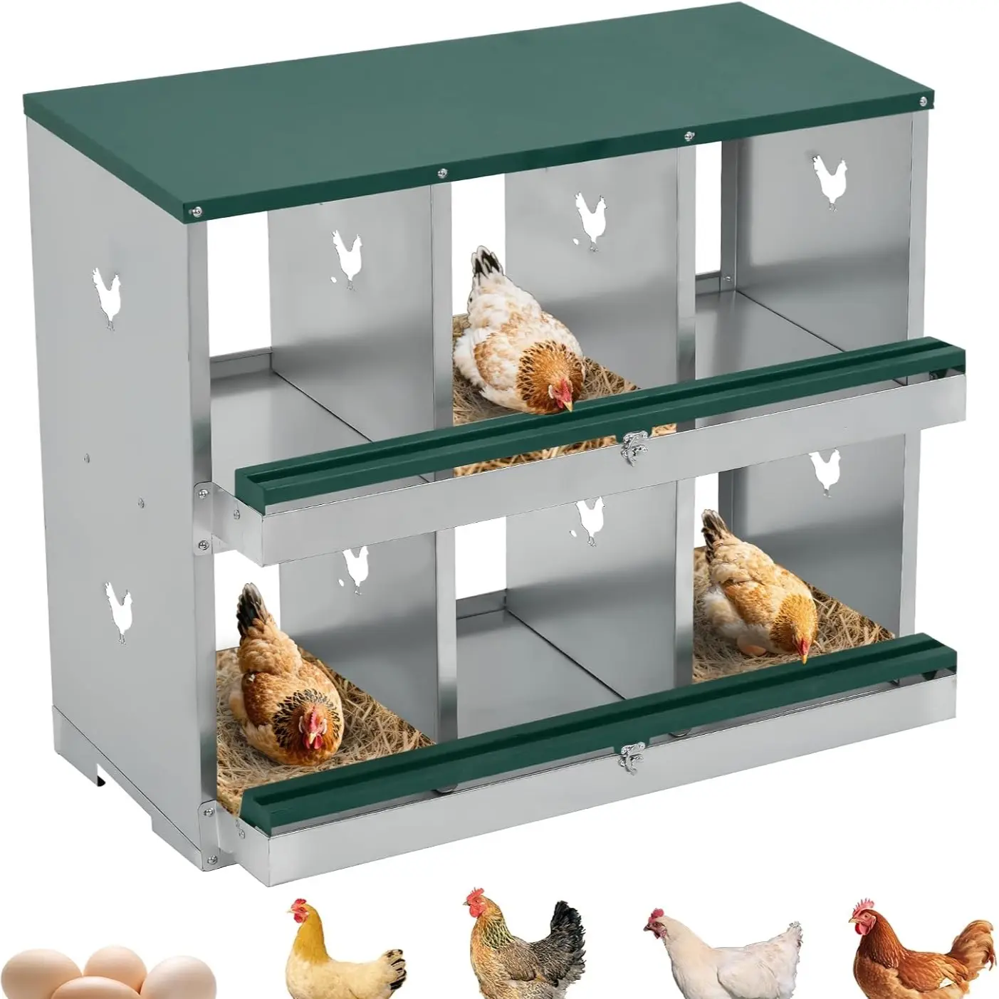 Green | 6 Compartment