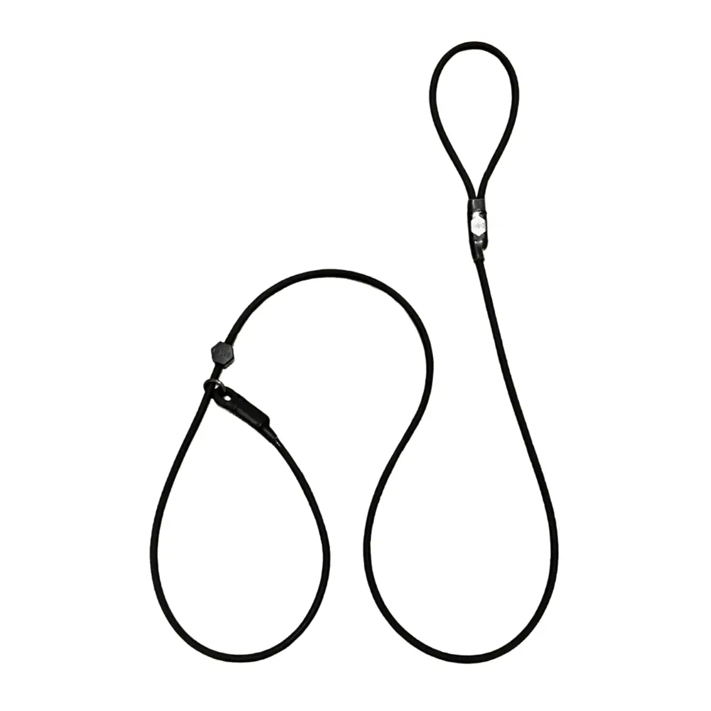 The Trainer Slip Lead for Dogs - Pet Accessories