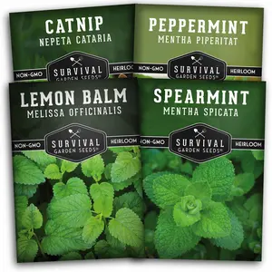 Mint Collection - Peppermint, Spearmint, Lemon Balm and Catnip Mint Collection - Peppermint, Spearmint, Lemon Balm and Catnip