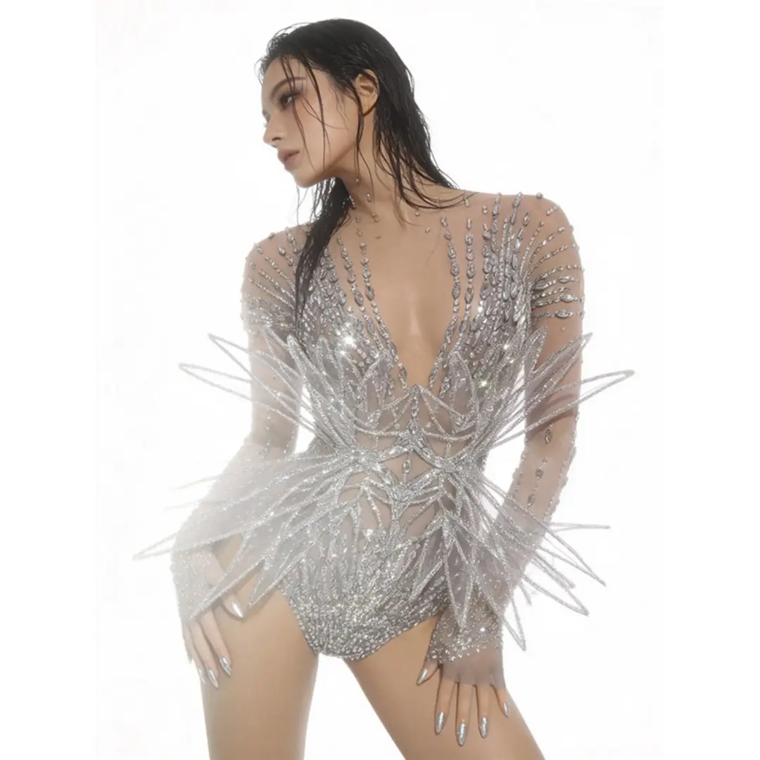 Silver Rhinestone Mesh Bodysuit,3D Feather Wing Dance Costume
