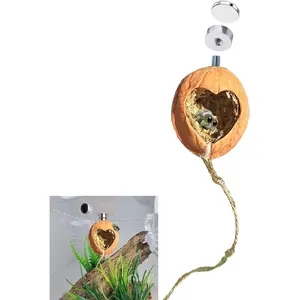 Jumping Spider Hide Walnut Enclosure with Magnetism Accessories Included