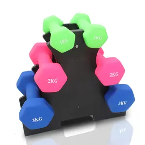 Dumbbell Rack, 1 Count Space Saving Dumbbell Storage Rack, Home Gym Accessories & Home Organizer for Gym