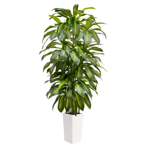 Artificial Dracaena Tree 5FT 6FT – Indoor Tall Fake Plant with Decorative Planter – Faux Floor Plants for Home Living Room Office  White or Black Pot