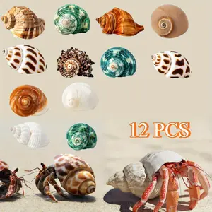 12 PCS Hermit Crab Shells Aquarium Decoration Natural Conch Size 1.6"-3.2" Growing Conch for Small, Medium and Large Crabs Saltwater Hermit Crab Supplies Conch Crafts Shells for Aquarium Decoration
