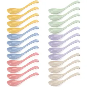 Set of 24  Plastic  Chinese Soup Spoons, Unbreakable  Ramen Set, Long Dinner Spoons for Dumpling, Cereal, Dishwasher Safe, 6 Colors
