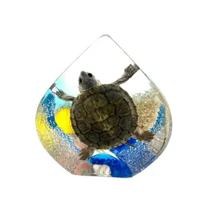 Real Turtle in Tear Drop Resin Paperweight Desktop Decoration Real Nature Gifts