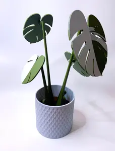 3D Printed Monstera Albo Coaster Plant designed by ForgeCore. Coffee table, Modern decor, Plants, Drinkware, Drink Coaster, Magnetic Leaves