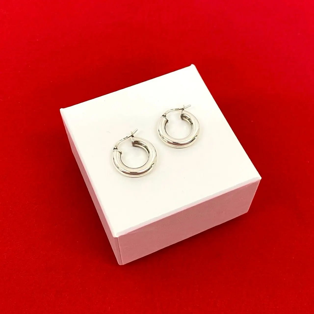 Pre-owned BOTTEGA VENETA Sterling Silver 925 (Ag925) Small Leather Goods Silver 925 Earrings