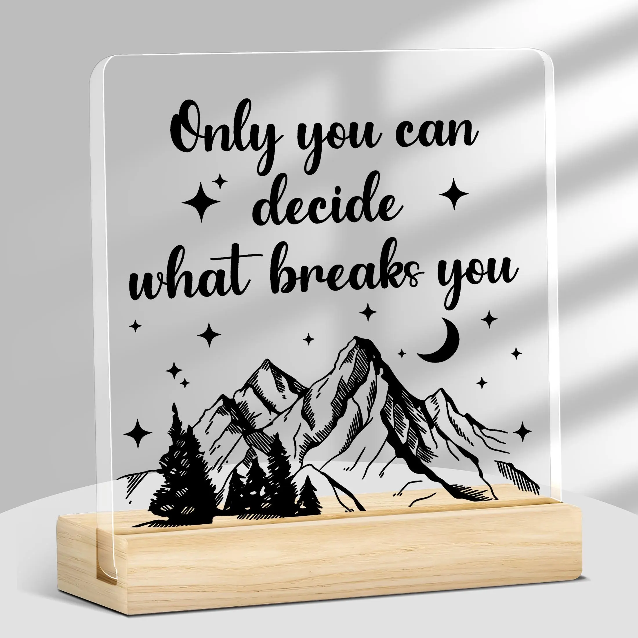 ACOTAR Acrylic Desk Sign, Acrylic Desktop Sign, 1 Count Letter Pattern Decorative Ornament, Minimalist Room Decor, Durable Bookish Plaque, Birthday Shelf Accessory for Book Lovers, Office Home Decor, Desk Signage Decoration, Indoor Home Decoration