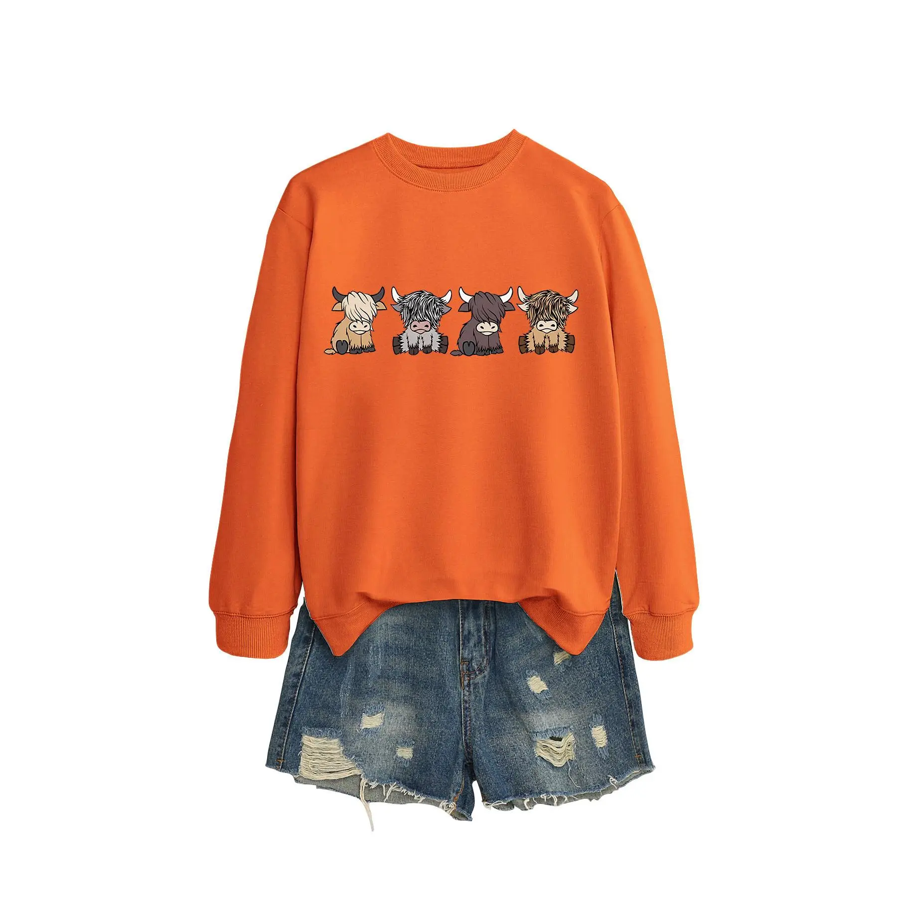 Orange hoodie (color picture)