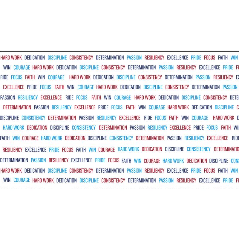 Inspirational Team USA Doggie Hoodie