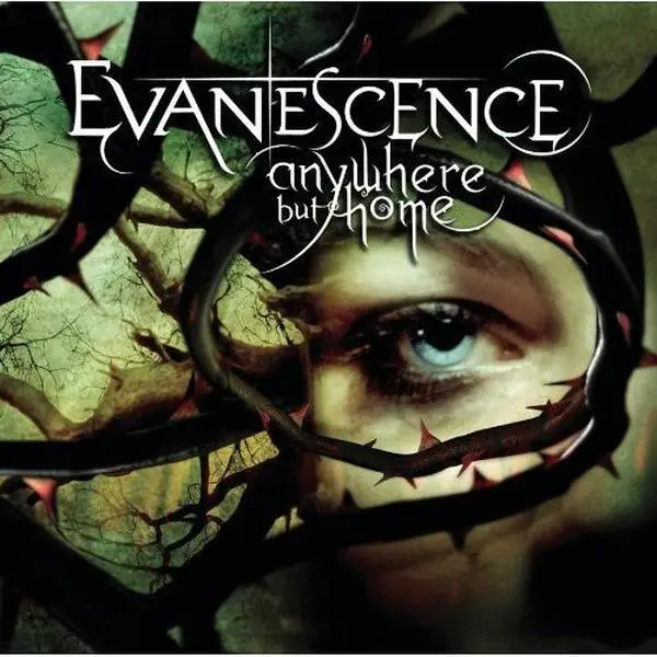 Evanescence - Anywhere But Home Album CD, Explicit Content, Bonus DVD, Includes Breathe No More, Bring Me to Life, Tourniquet, Missing Track 14