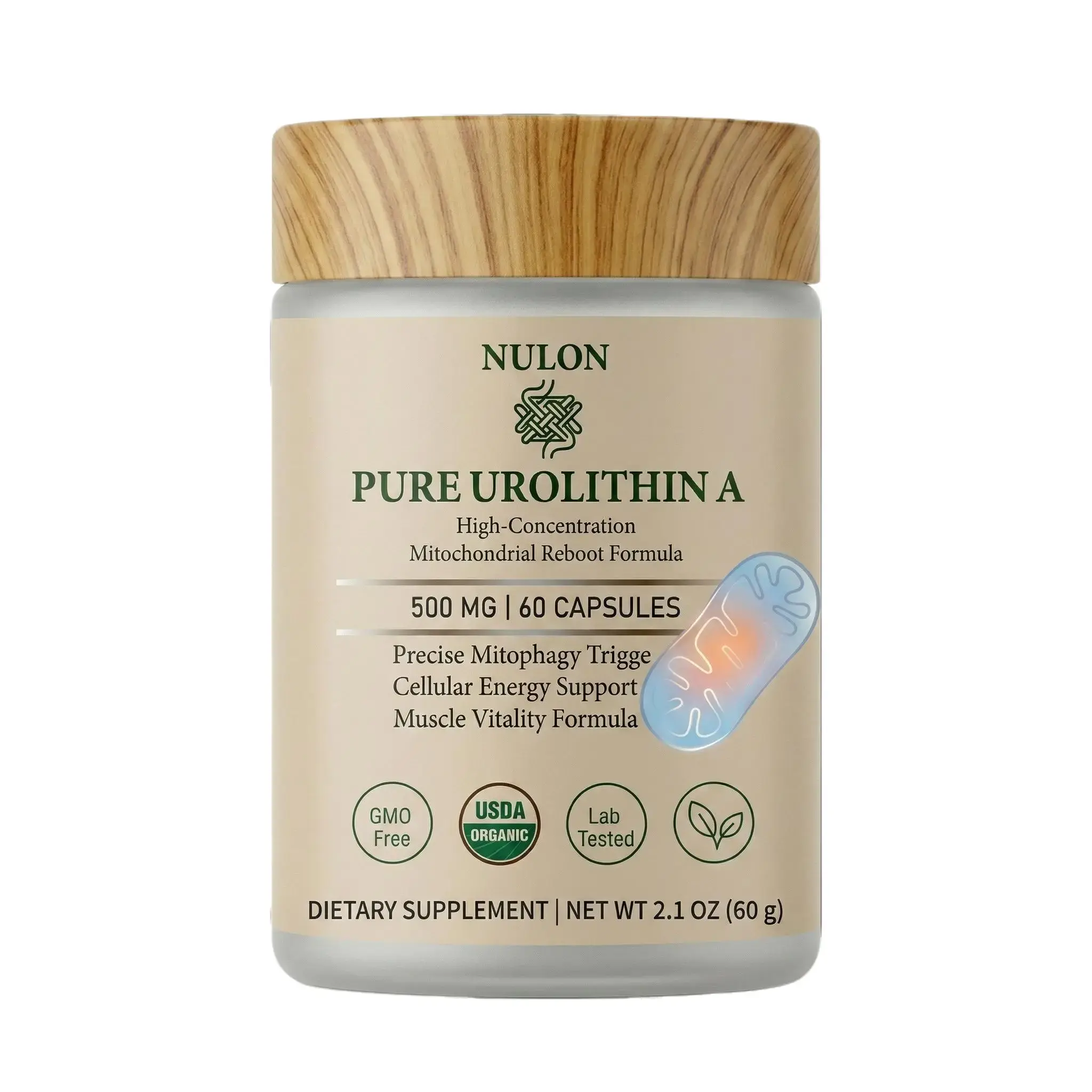 NULON Pure Urolithin A 500mg - Advanced Mitophagy & Cellular Renewal Supplement - 60 Vegan Capsules for Muscle Strength & Longevity - 99% Purity - Healthcare, Natural