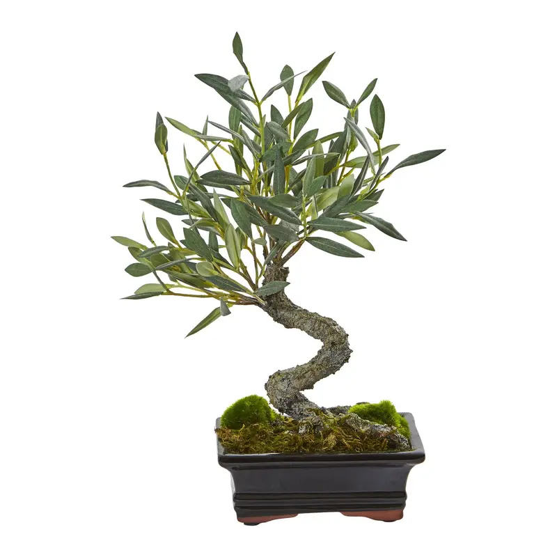 ikea bonsai - TikTok Shop