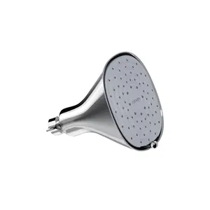 Canopy Filtered Showerhead in Polished Chrome