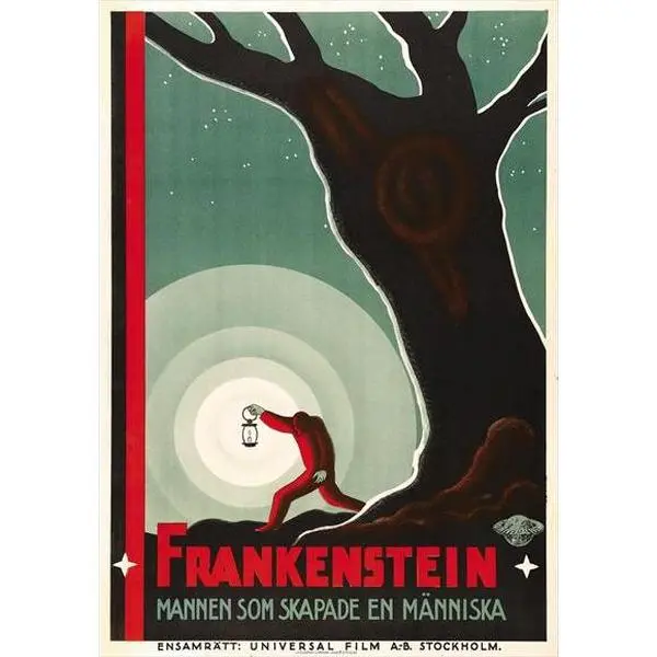 Frankenstein Movie Poster Print (11 x 17)