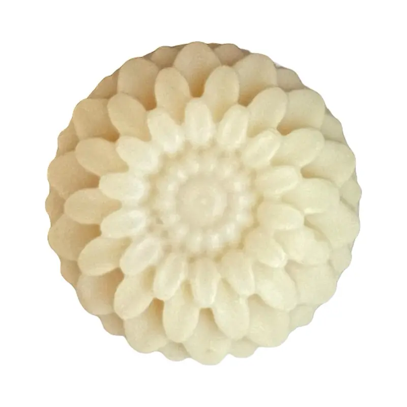 SkinBiome Shampoo Bar with Soap Nut extract- Organic Hair Shampoo Bar- Castor Oil Shampoo Bar