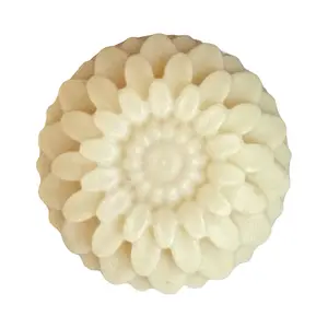 SkinBiome Shampoo Bar with Soap Nut extract- Organic Hair Shampoo Bar- Castor Oil Shampoo Bar