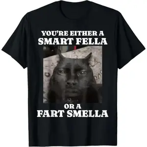 Casual Cotton shortsleeve tees You're Either a Smart Fella or a Fart Smella Funny Cat Meme T-Shirt