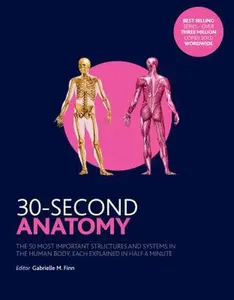 USED-30-Second Anatomy: The 50 Most Important Structures and Systems in the Human Body, Each Explained in Half a Minute by Gabrielle M. Finn (Paperback)