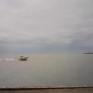 review image 3