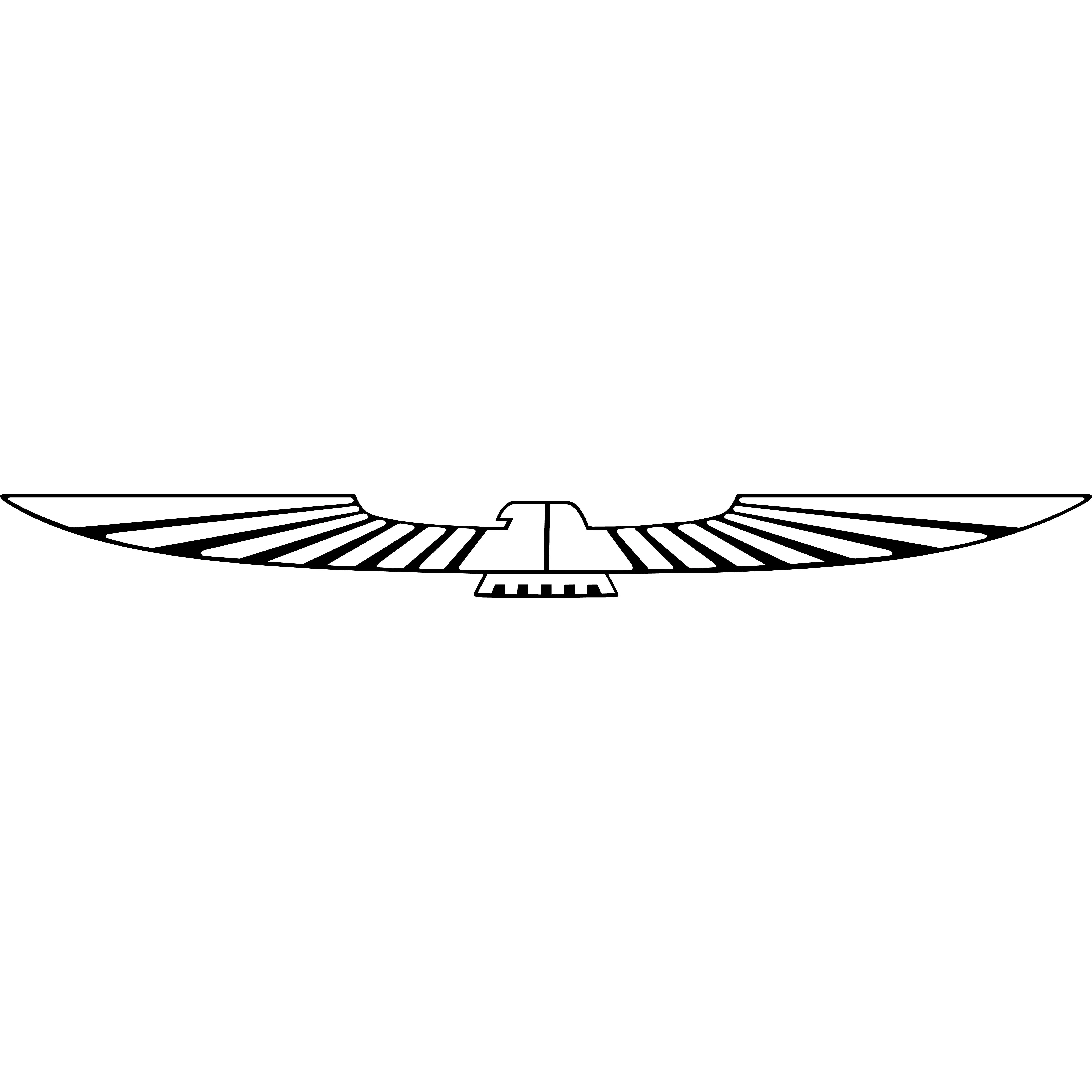 THUNDERBIRD "BIRD" Vehicle Custom Windshield Banner Graphic Die Cut Decal - Vinyl Application Tool Included