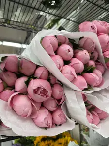 Choose Your Flowers During Live ONLY! Choose Your Flowers During Live ONLY!