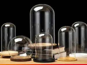 DQ&DQ Glass Dome Cloche with Wooden Base for Doll Display