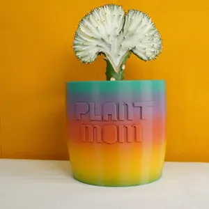 Plant Mom Planter, Plant Pot with Excellent Drainage and Drip Tray, Multiple Color Options and Sizes