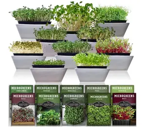 Microgreens 10 Pack (Seeds Only) - Arugula, Broccoli, Radish, Pea, Sunflower, Basil, Cabbage, Buckwheat, Kale, Beet