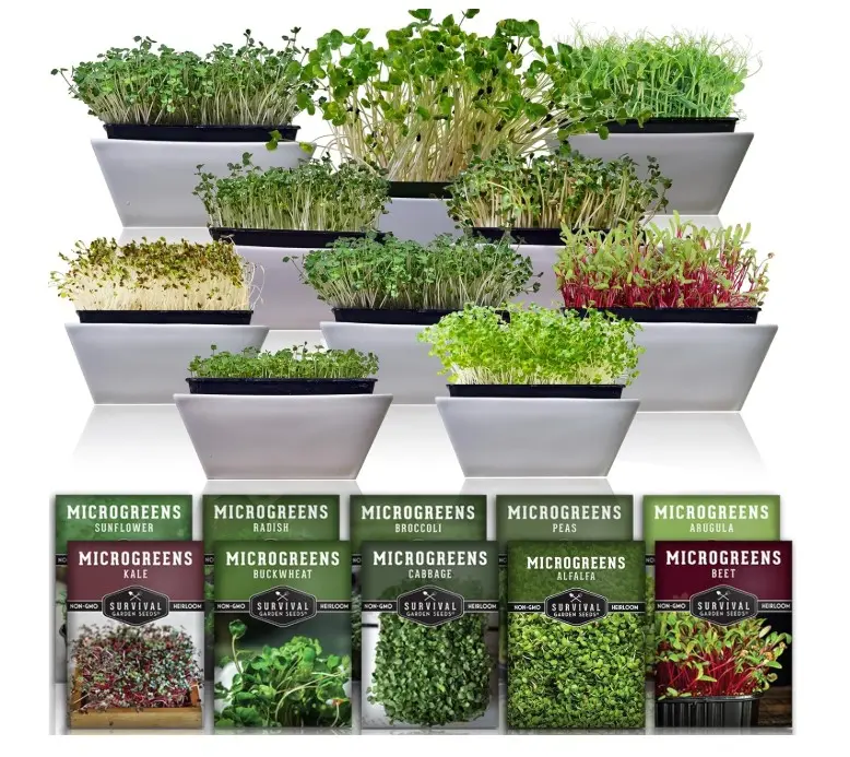 Microgreens 10 Pack (Seeds Only) - Arugula, Broccoli, Radish, Pea, Sunflower, Basil, Cabbage, Buckwheat, Kale, Beet
