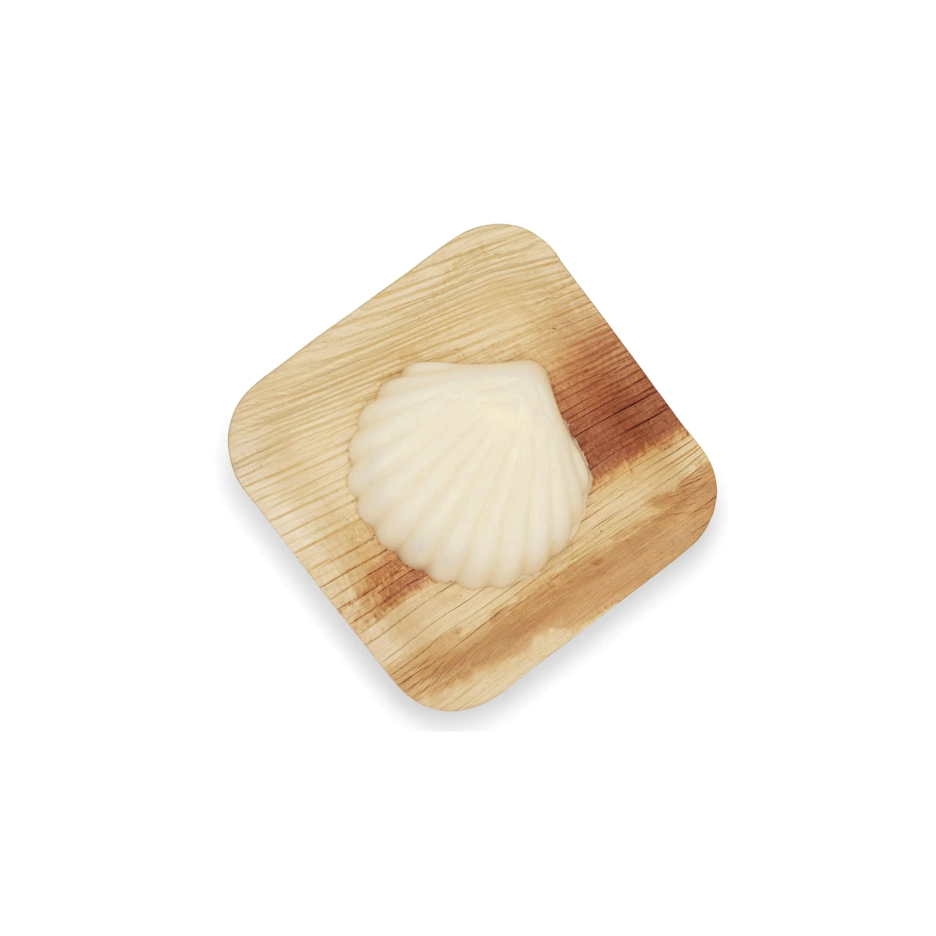 Shimmering Tallow Body Bar Shell