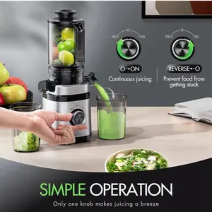 Juicer Machines, Cold Press Juicer with Wide Feed Chute, Slow Masticating Juicers for Whole Vegetables & Fruits, High Juice Yield, Easy to Clean, Large Auger, Light Silver Blender