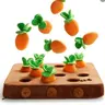 Nocciola 12-Piece Plush Fabric Carrot Fruit Dog Toy Set, Interactive Food Dispensing Farm, Hidden Squeakers, Mental Stimulation, Hide and Seek Fun for Small/Medium Dogs