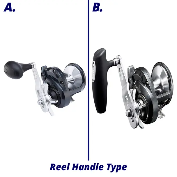 Shimano Torium Star Drag Conventional Reel