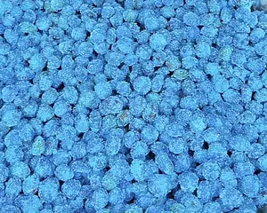 Sour Gusher Blue Raspberry Flavor - Snack - Candy - Susa Candy Bonbon Candies