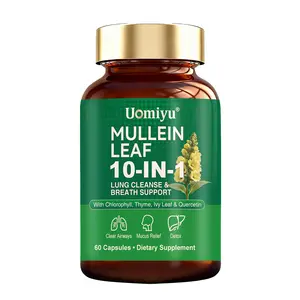 10-in-1 Lung Detox Complex | Mullein + NAC + Quercetin | Deep Cleanse for Smokers & Daily Breath Support (60 Vegan Caps)