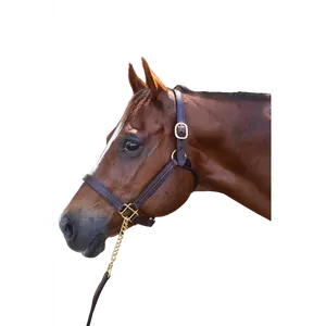 TS Sale/Show Leather Halter