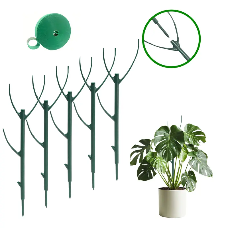 ripple jade plant care Compact Mini Jade/ Ripple Jade- 1 Gallon