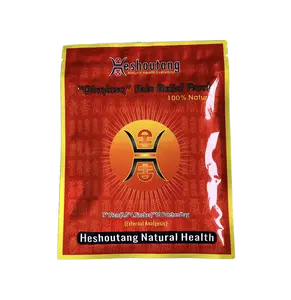 Heshoutang Qinglong Pain Relief Patch