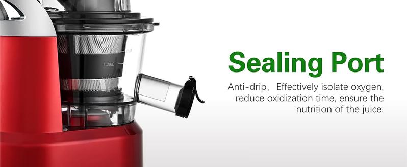 Cold Press Juicer, Juicer Machines with Large Feed Chute, Large Capacity, Slow Masticating Juicer for Fruits and Vegetables