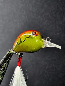Micro Baits