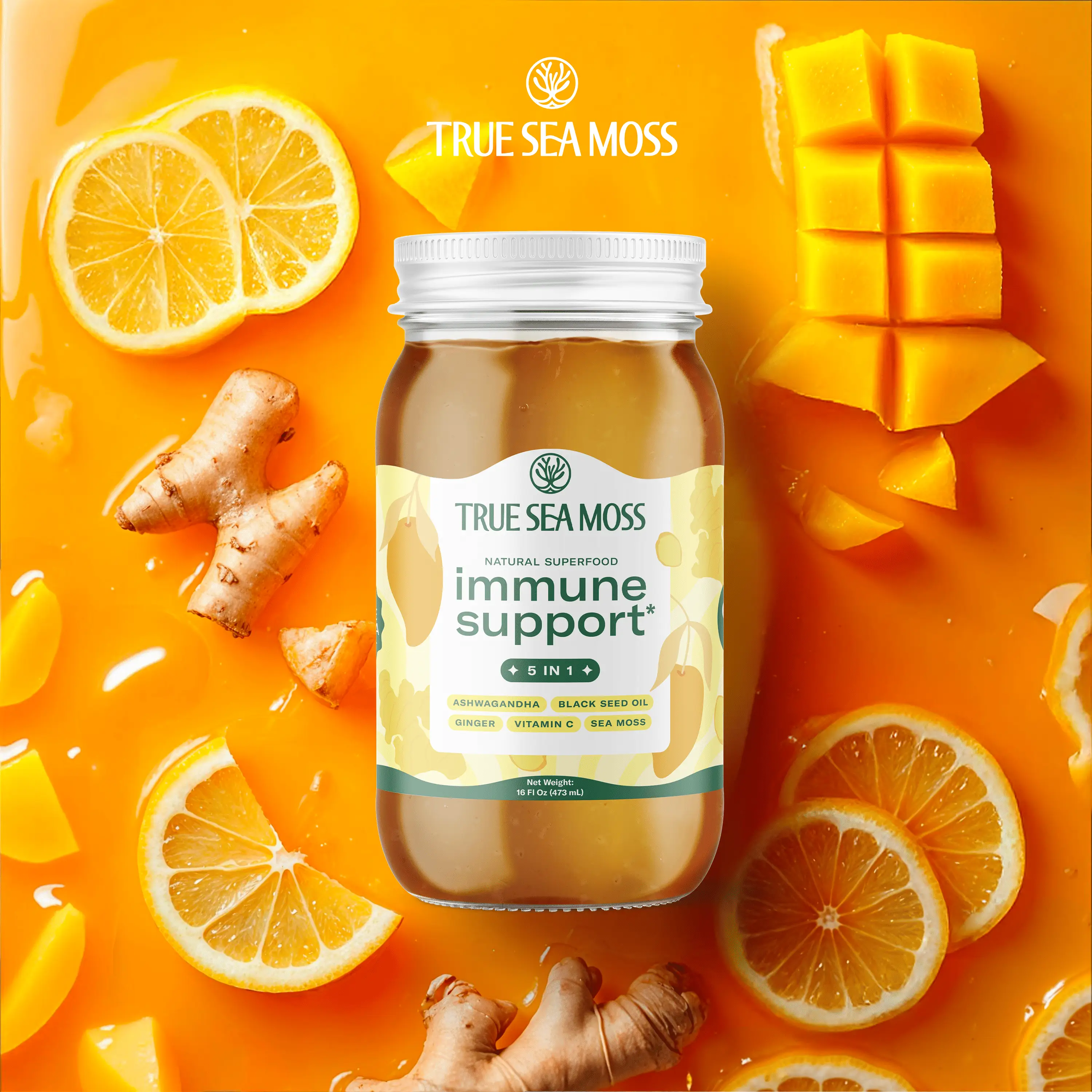 TrueSeaMoss 5in1 Irish Sea Moss Gel – Rich in Minerals & Vitamins –   supports i...