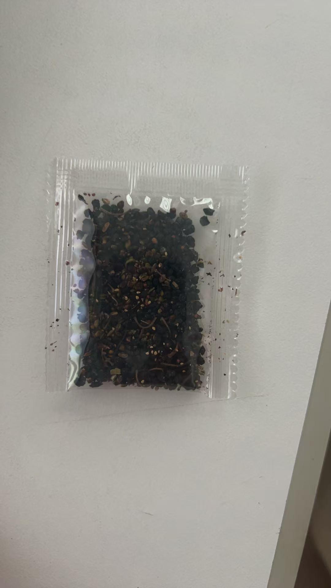 Grow Your Own Berry Patch 4-in-1 Seed Mix Strawberry Blueberry Raspberry & More Easy Fun Backyard Fruit Garden Starter Kit All Seasons