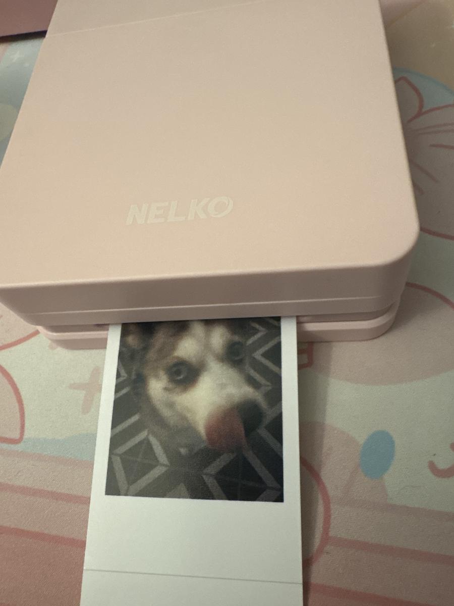 Item: PP01 Pink+20 Sticky Photo Sheets