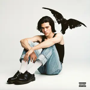 Conan Gray - Kid Krow  [VINYL RECORD - LP] Explicit